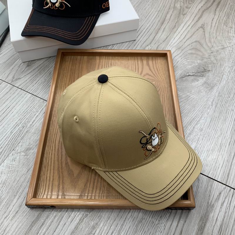 Loewe cap (30)